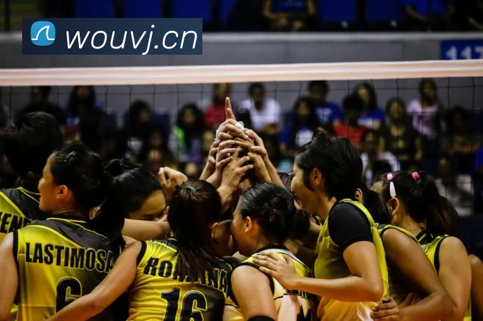 乐鱼在线登录平台入口发展历程